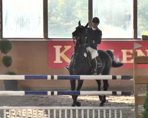 Kurtscheider Indoors 2014