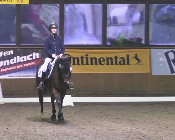 Kurtscheider Indoors 2014