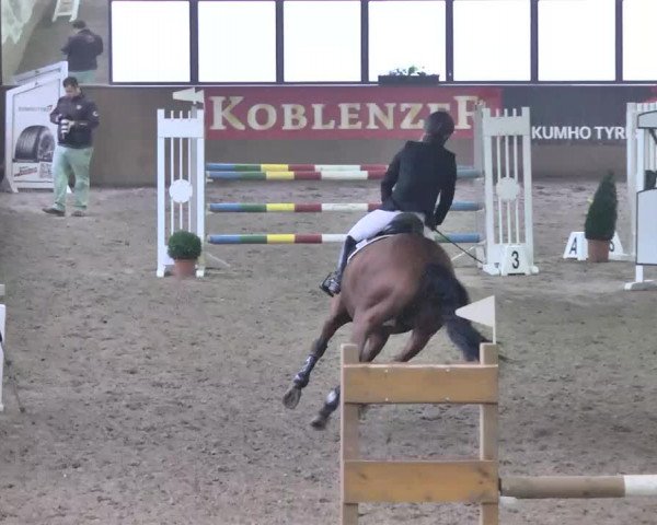 Kurtscheider Indoors 2014