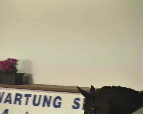 Kurtscheider Indoors 2014