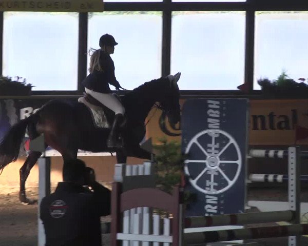 Kurtscheider Indoors 2014