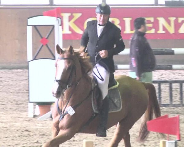 Kurtscheider Indoors 2014
