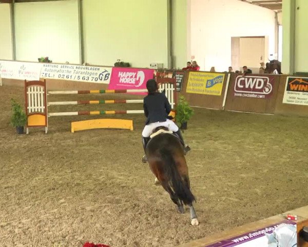 Kurtscheider Indoors 2014