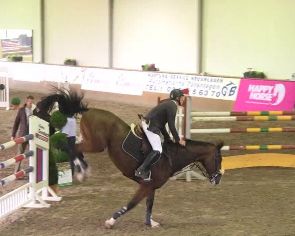 Kurtscheider Indoors 2014