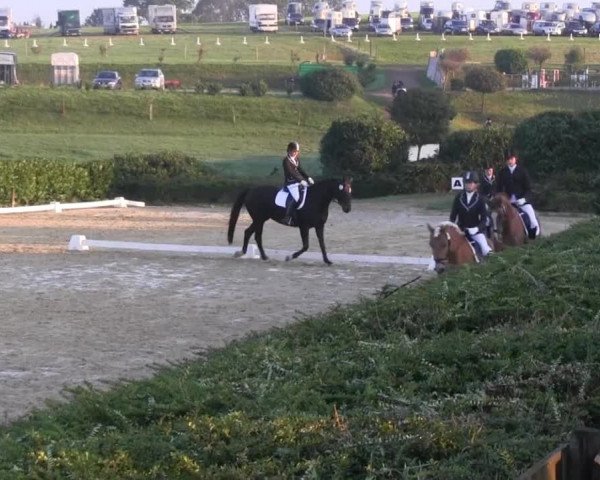 RTG Silberberghof Kreismeisterschaft 2014