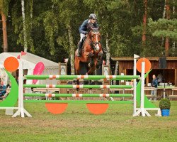 Springpferd Gigantik (Deutsches Sportpferd, 2011, von Gepsom)