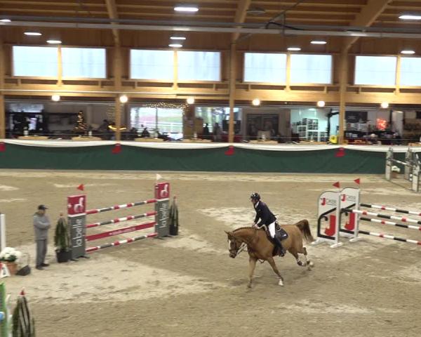 Reitturnier Dielsdorf 2025