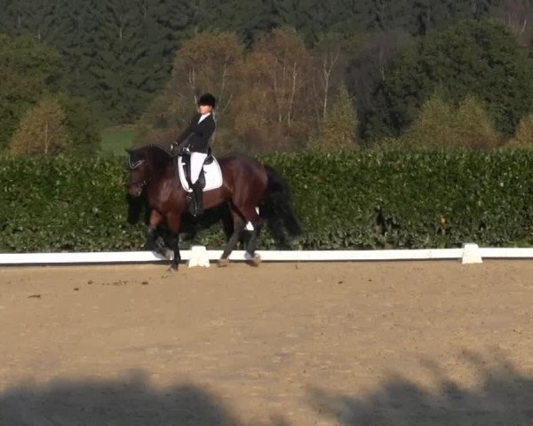 RTG Silberberghof Kreismeisterschaft 2014