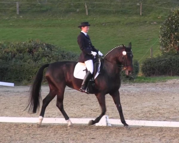 RTG Silberberghof Kreismeisterschaft 2014