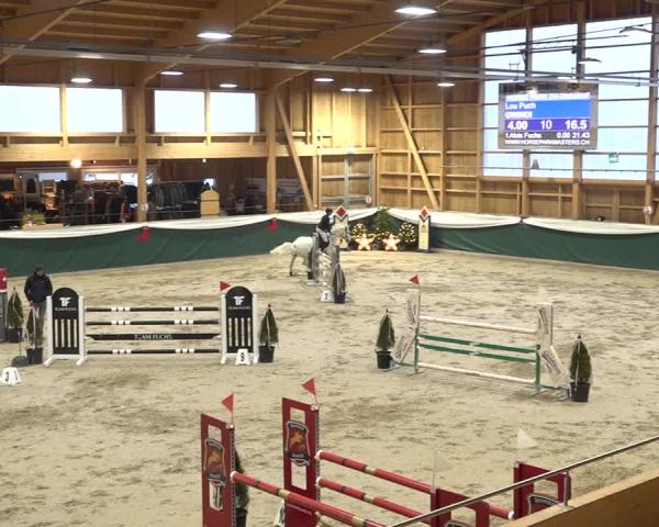 Reitturnier Dielsdorf 2025