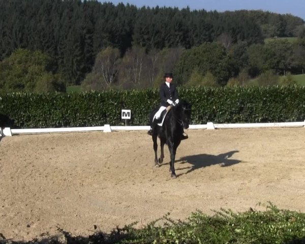 RTG Silberberghof Kreismeisterschaft 2014