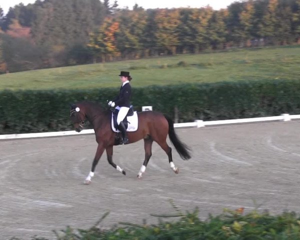 RTG Silberberghof Kreismeisterschaft 2014