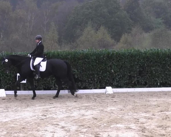 RTG Silberberghof Kreismeisterschaft 2014