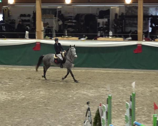 Reitturnier Dielsdorf 2025