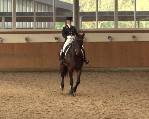 Dressurtage Gut Hohenkamp 2014