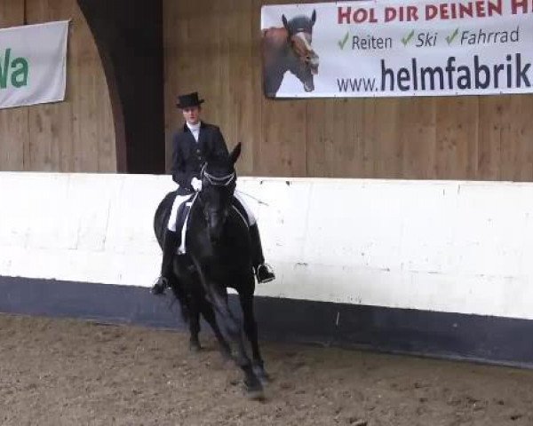 Hallenturnier Ulm/Neu-Ulm 2014
