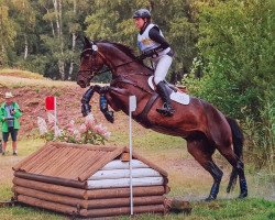 jumper Estelle 65 (Hanoverian, 2012, from Edward 28)