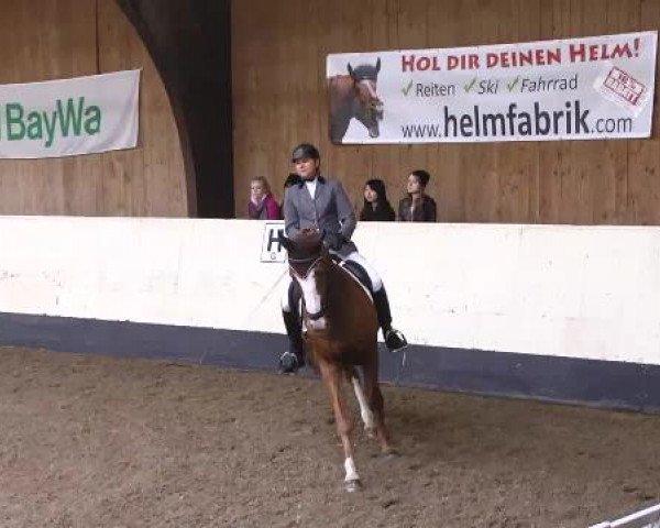 Hallenturnier Ulm/Neu-Ulm 2014