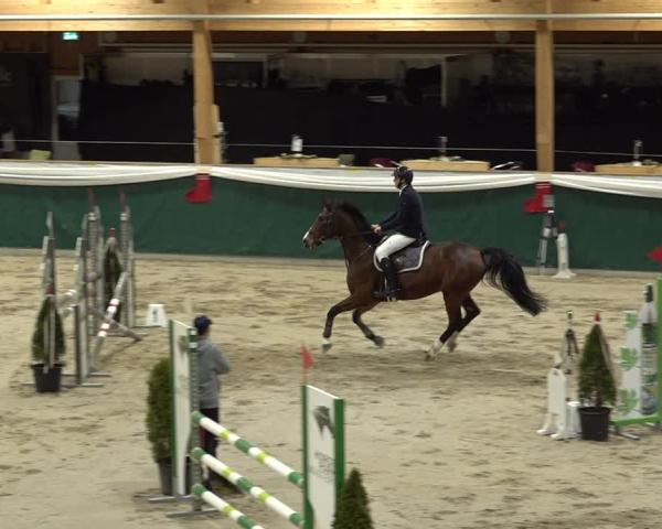 Reitturnier Dielsdorf 2025