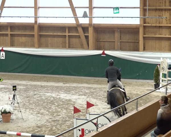 Reitturnier Dielsdorf 2025