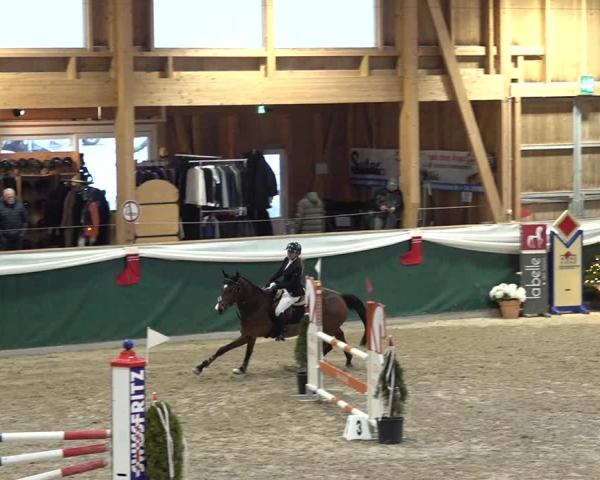 Reitturnier Dielsdorf 2025