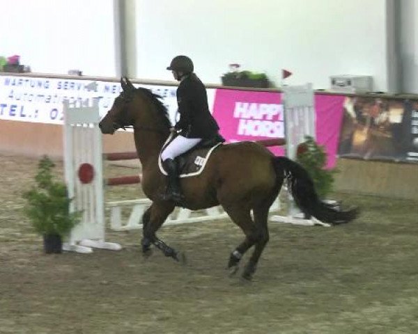 Kurtscheider Indoors 2014