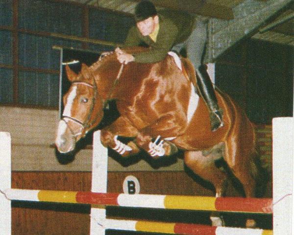 Hřebec Weinprinz (Zweibrücker, 1988, od Weinberg)