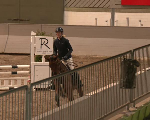 Reitturnier AZL Luhmühlen 2025