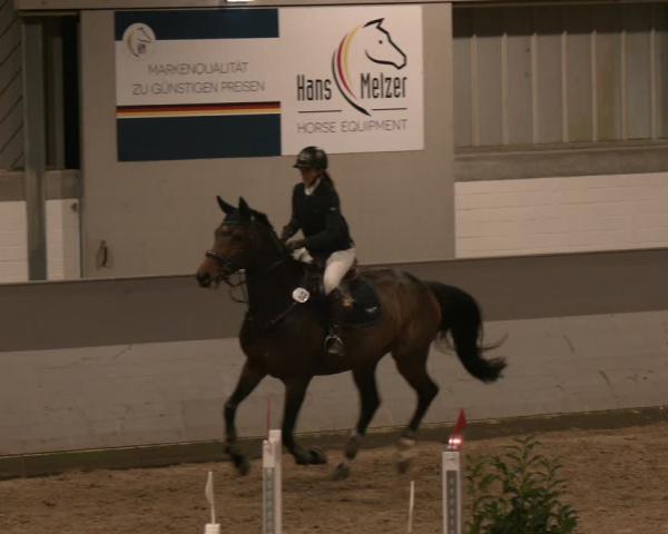 Reitturnier AZL Luhmühlen 2025