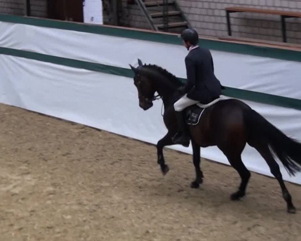 Monheim - Gut Blee 2014