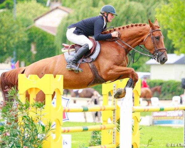 jumper Revoflove de Varet (Selle Français, 2005, from Funchal de Semilly)
