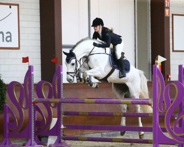 jumper Coconut Pearl (Rhinelander, 2011, from Calico 8)