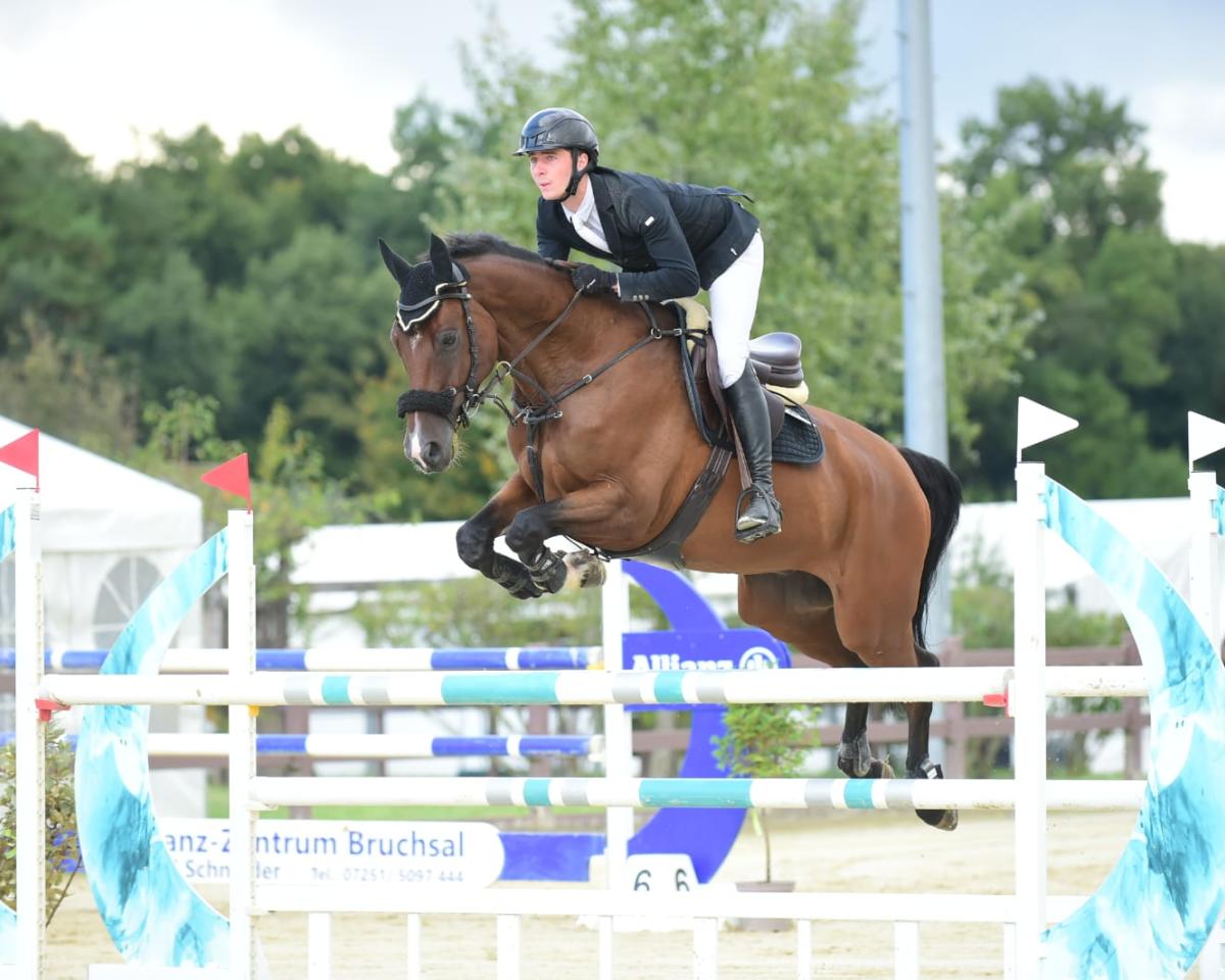 Springpferd Levi HG 2 (Deutsches Sportpferd, 2019, von Lexicon)