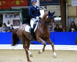 Dressurpferd Feingold 48 (Oldenburger, 2010, von Fidertanz)