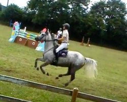broodmare Unie Blondel (Selle Français, 2008, from Mercredi de Mars)