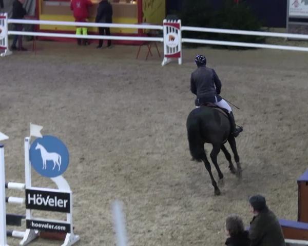 Reitturnier Neustadt/Dosse - Graf von Lindenau-Halle 2025