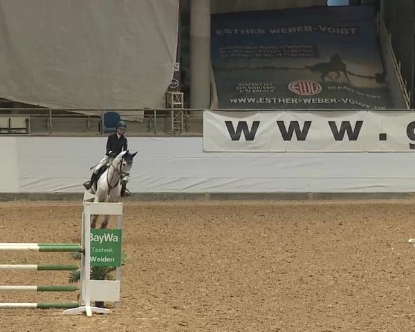 Reitturnier Kreuth/Opf. 2025