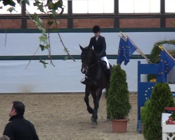 Monheim - Gut Blee 2014