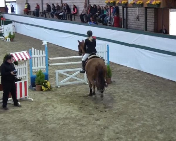 Monheim - Gut Blee 2014