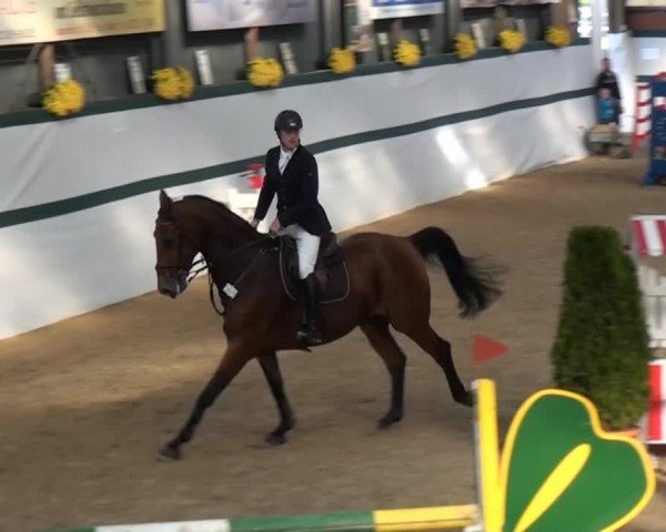 Monheim - Gut Blee 2014