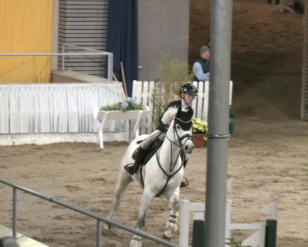 Reitturnier Verden 2025