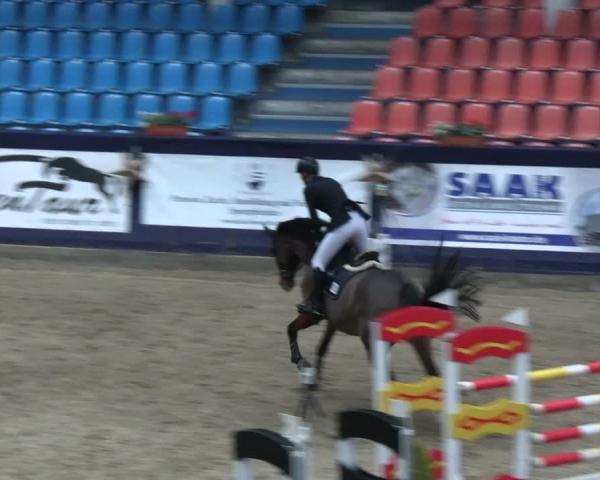 Reitturnier Neustadt/Dosse - Graf von Lindenau-Halle 2025