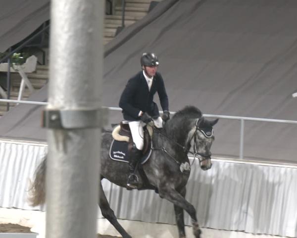 Reitturnier Verden 2025