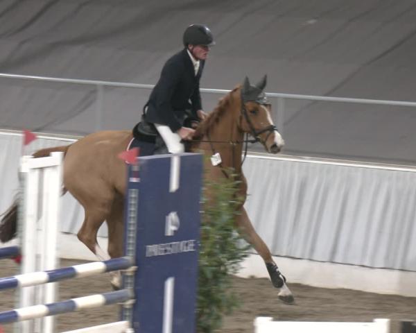 Reitturnier Verden 2025