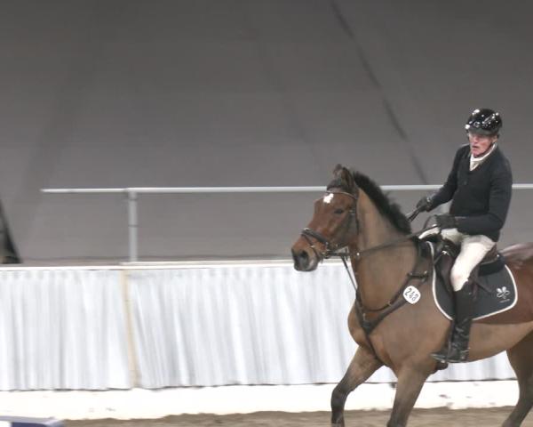 Reitturnier Verden 2025