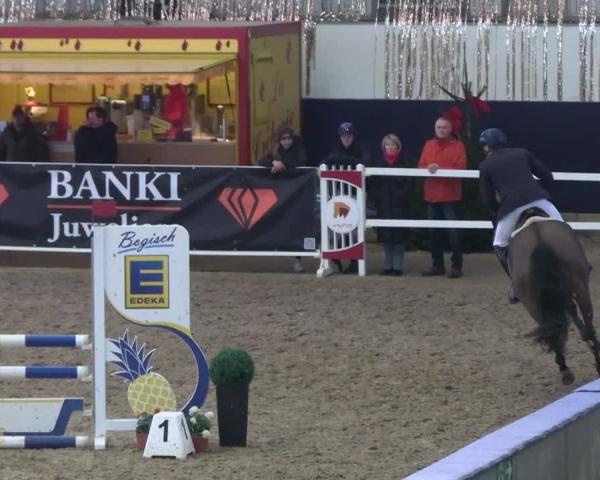 Reitturnier Neustadt/Dosse - Graf von Lindenau-Halle 2025