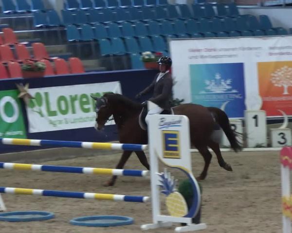 Reitturnier Neustadt/Dosse - Graf von Lindenau-Halle 2025