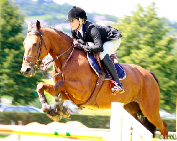 broodmare Reine de Prenovel (Selle Français, 2005, from Litsam HN)