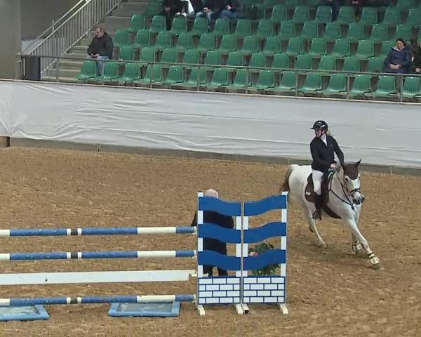 Reitturnier Kreuth/Opf. 2025