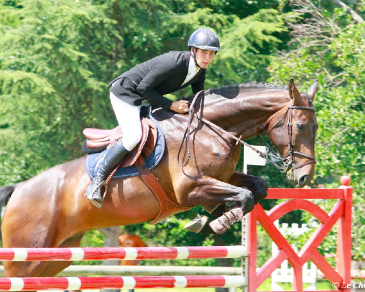jumper Caprivi 14 (Hanoverian, 2005, from Contendro I)